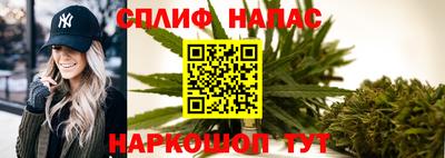 мяу мяу мука Гатчина