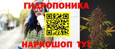 прущий лед Гагарин
