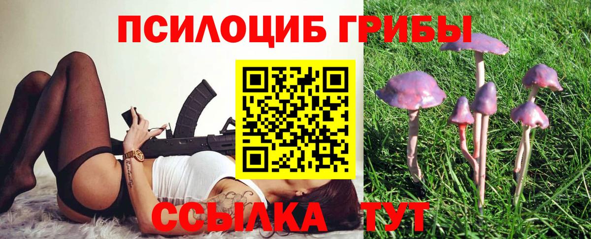сколько стоит  Псилоцибиновые грибы Cubensis  Вход с VPN  Назарово 